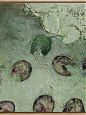 Wildpferde und ein toter Igel